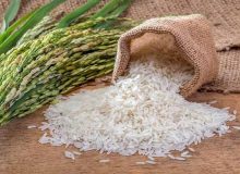 برنج فروش کلاهبردار دستگیر شد